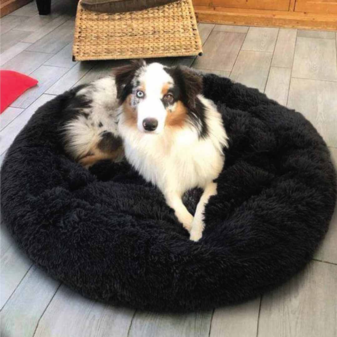 Luxe hondenbed | 50% korting
