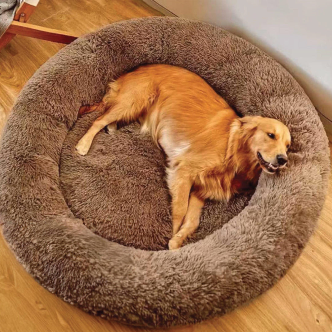 Luxe hondenbed | 50% korting