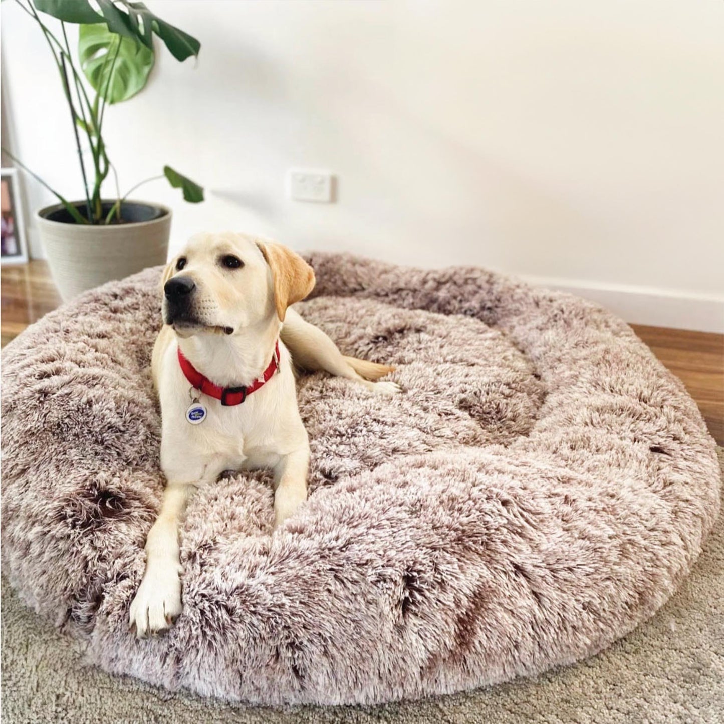 Luxe hondenbed | 50% korting